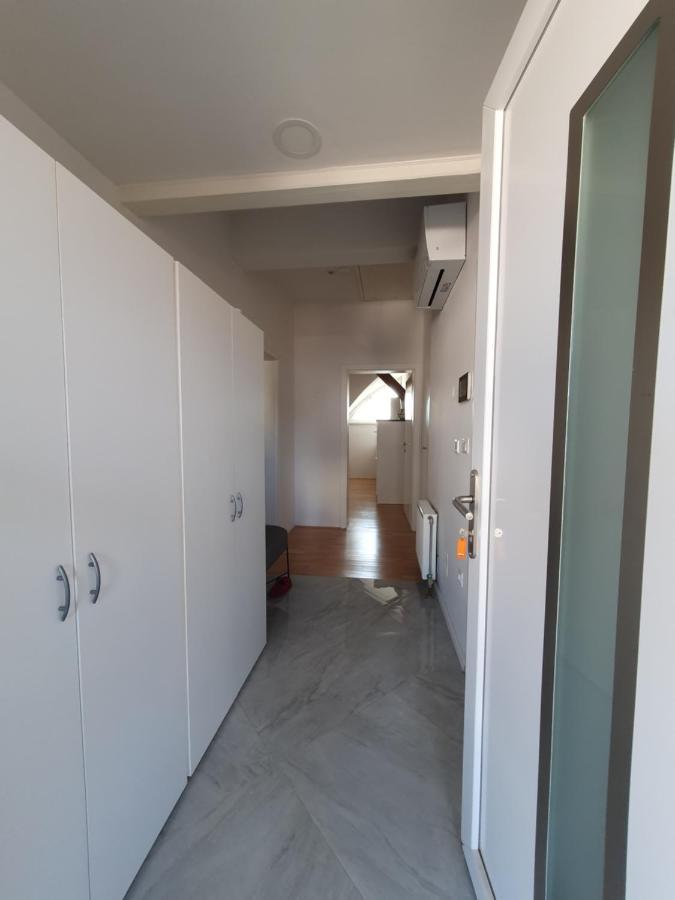 Charming Apartment Mila In Privat House With Free Parking Ljubljana Exteriör bild