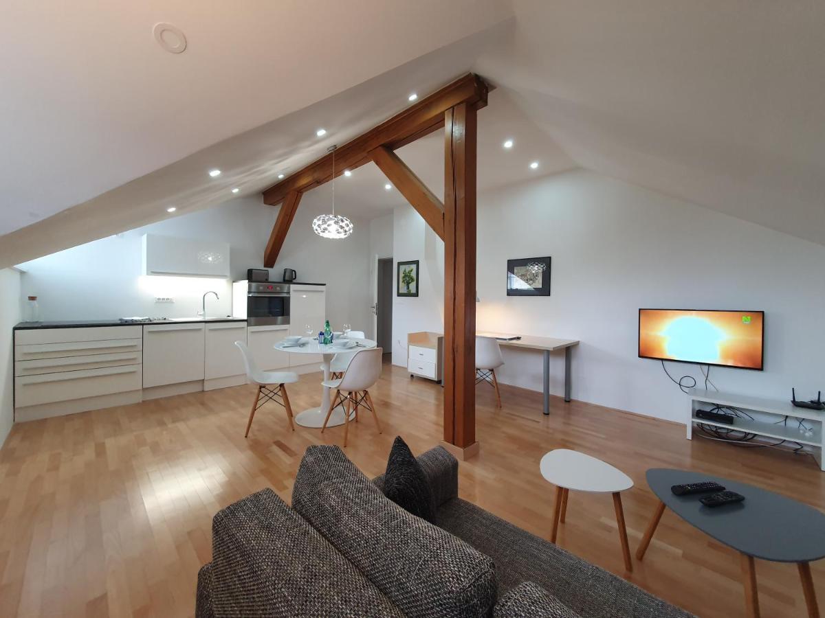 Charming Apartment Mila In Privat House With Free Parking Ljubljana Exteriör bild