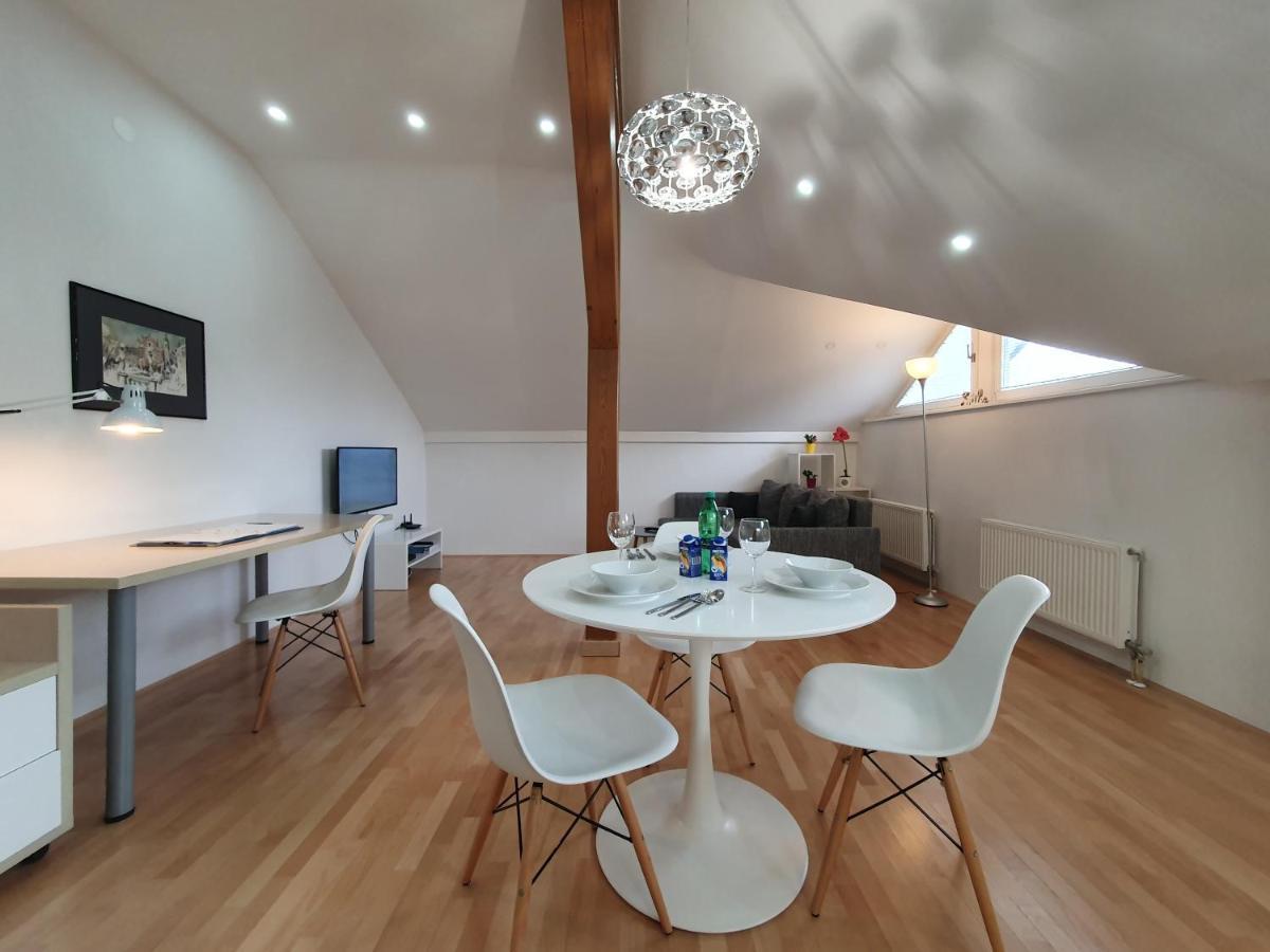 Charming Apartment Mila In Privat House With Free Parking Ljubljana Exteriör bild